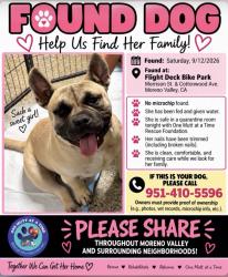 Found/Stray Female Dog last seen Morrison and Cottonwood, Moreno Valley, CA 92555