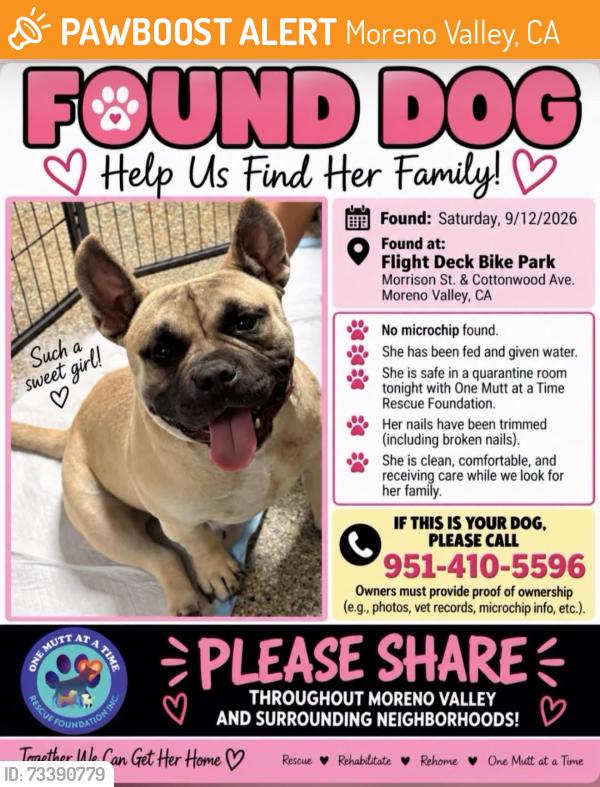 Found/Stray Female Dog last seen Morrison and Cottonwood, Moreno Valley, CA 92555