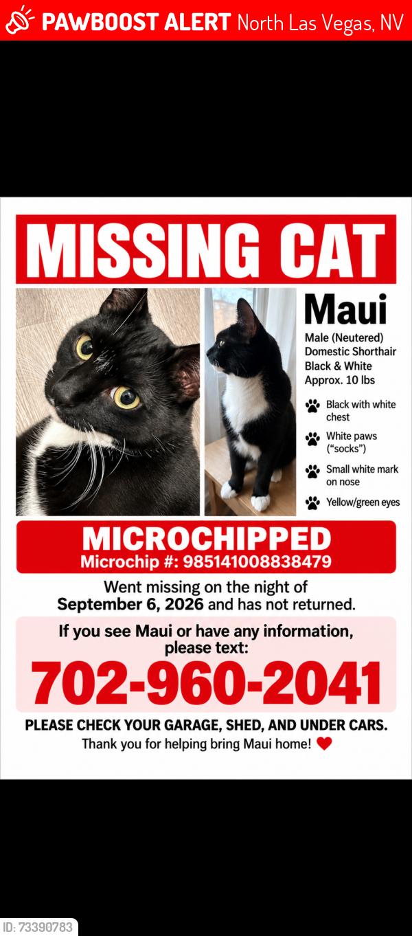 Lost Male Cat last seen Foley Dr/kyle Dr. Near the pool and construction, North Las Vegas, NV 89084