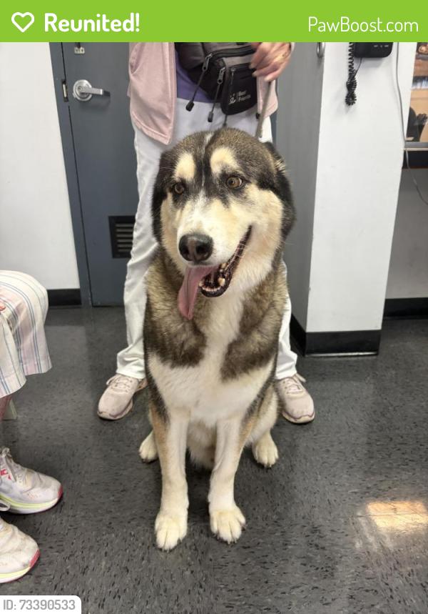 Reunited Unknown Dog last seen Pier Ave and Hermosa, Hermosa Beach, CA 90254