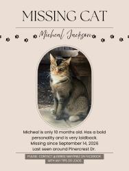 Reunited Male Cat last seen Pinercrest Dr, Santa Rosa, CA 95403, USA, Santa Rosa, CA 95403