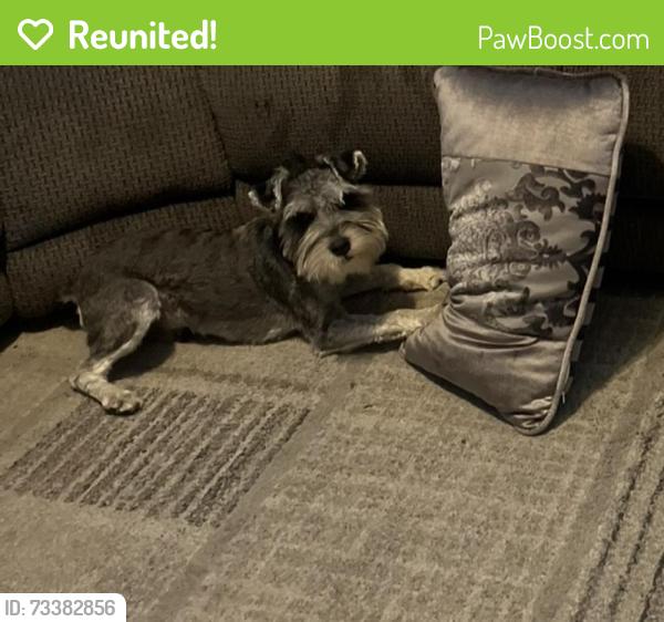 Reunited Male Dog last seen Parkgreen, Antioch, CA 94531