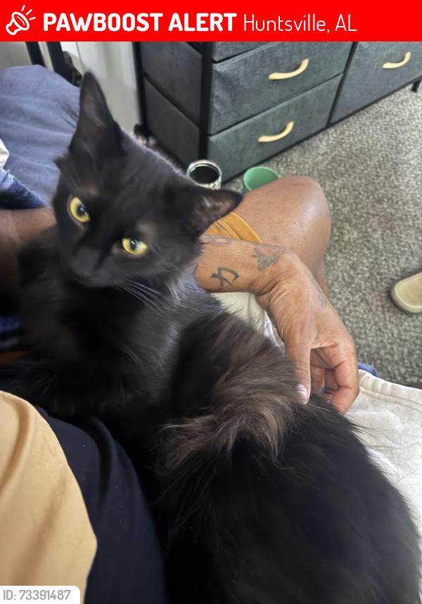Lost Female Cat last seen Mastin Lake Rd, Huntsville, AL 35810