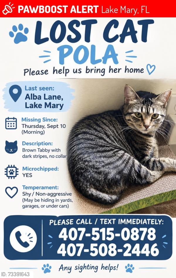 Lost Female Cat last seen near green wood lake middle school, Lake Mary, FL 32746