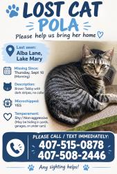 Lost Female Cat last seen near green wood lake middle school, Lake Mary, FL 32746