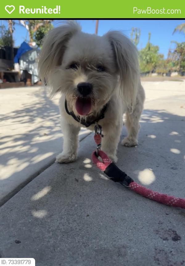 Reunited Female Dog last seen Near Madera St, San Diego, CA 92114, USA, San Diego, CA 92114