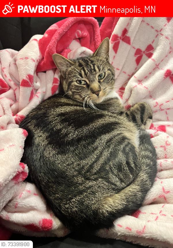 Lost Male Cat last seen Brooklyn Center, Minneapolis, MN 55430