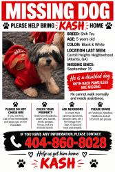 Lost Male Dog last seen Fairburn place, Atlanta, GA 30331