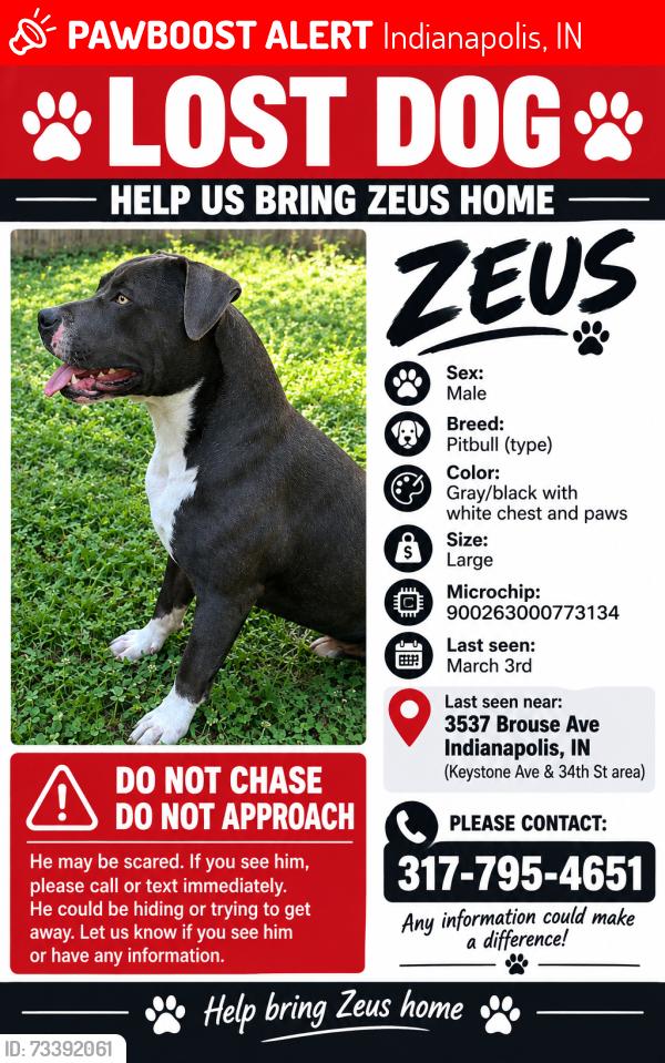 Lost Male Dog last seen Keystone Ave & 34th St, near Arlington Ave, Indianapolis, IN 46201