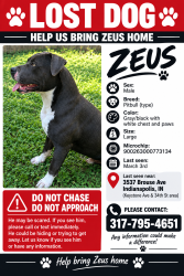 Lost Male Dog last seen Keystone Ave & 34th St, near Arlington Ave, Indianapolis, IN 46201
