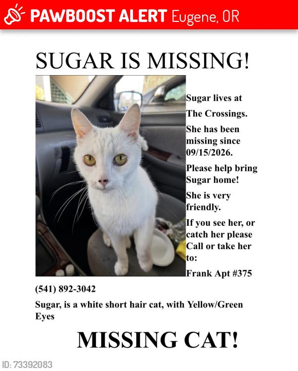 Lost Female Cat last seen Barger and cubit, Eugene, OR 97402