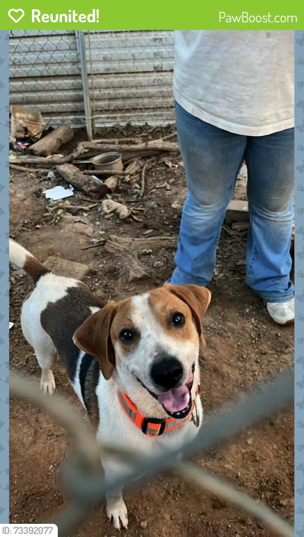 Reunited Male Dog last seen Hwy 382 and keeper Rd, Talking Rock, GA 30175