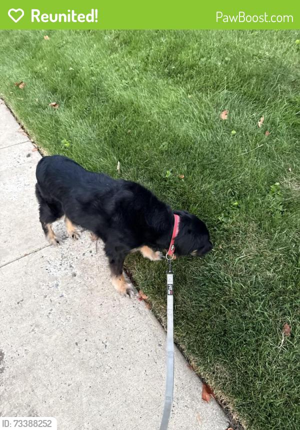Reunited Female Dog last seen Walnut street Jenkintown, Jenkintown, PA 19046