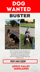 Reunited Male Dog last seen Near Di Francesco St, Apple Valley, CA 92308