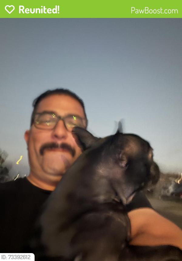 Reunited Female Dog last seen Tamarindo and Conolley, Chula Vista, CA 91911