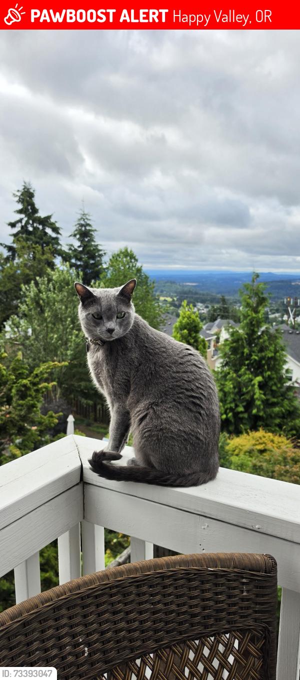 Lost Male Cat last seen Happy Valley, Happy Valley, OR 97086