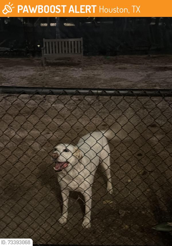Found/Stray Unknown Dog last seen Memorial/Post Oak, Houston, TX 77024