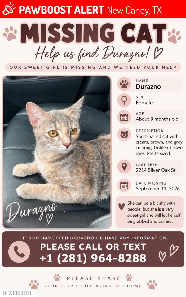 Lost Female Cat last seen Near silver oaks st, New Caney, TX 77357