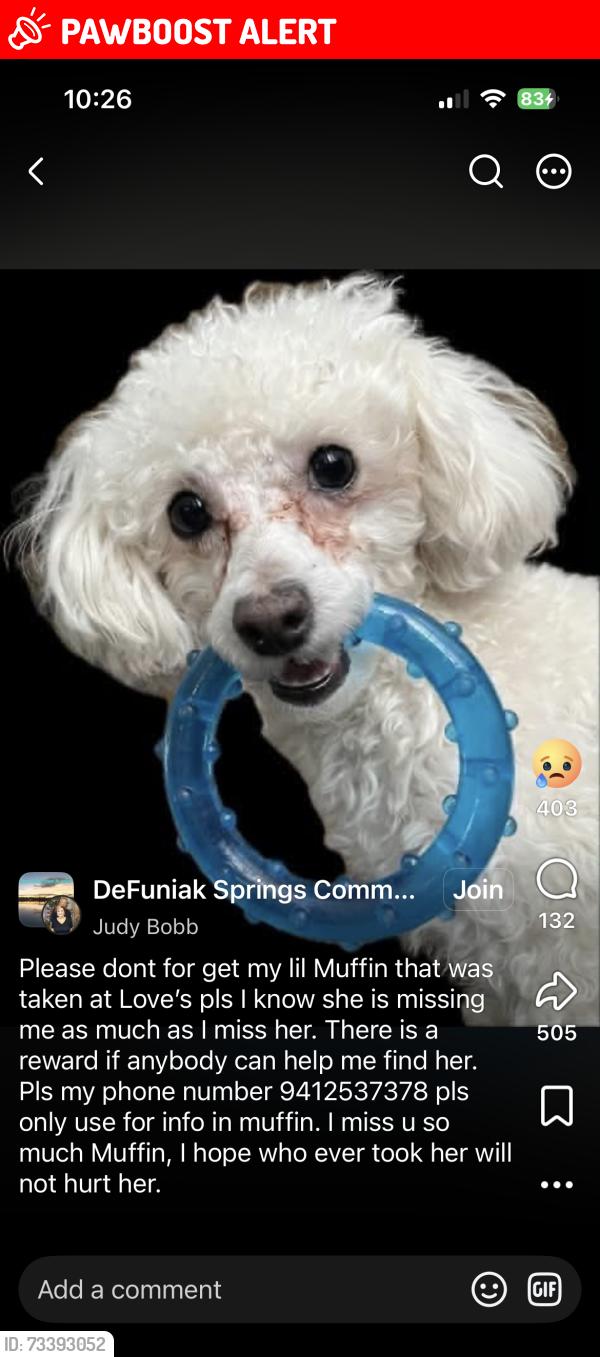 Lost Female Dog last seen Loves truck stop at Mossy Head, DeFuniak Springs, FL 32435