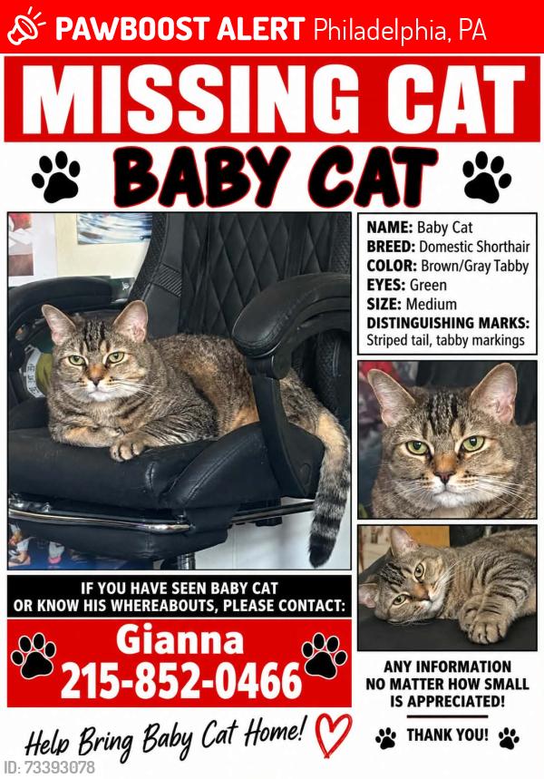 Lost Male Cat last seen Foulkrod street, Philadelphia, PA 19124