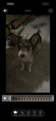 Found/Stray Male Dog last seen w ave h4 lancaster ca 93534, Lancaster, CA 93534
