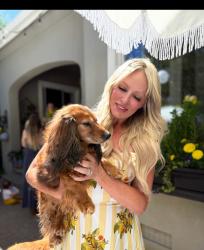 Lost Female Dog last seen Evening Rock trail, Reno, NV 89523