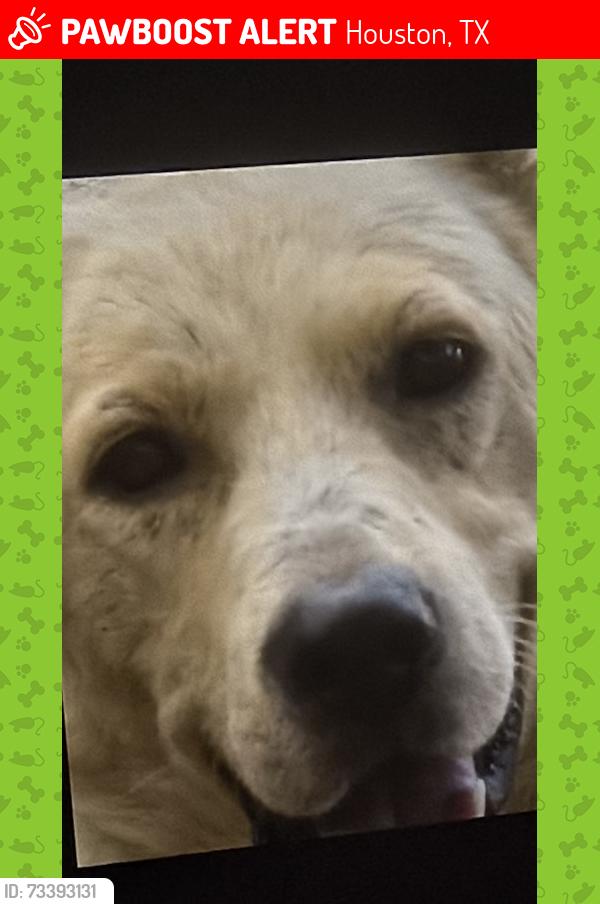 Lost Male Dog last seen Aldine Westfield and skinner, Houston, TX 77093