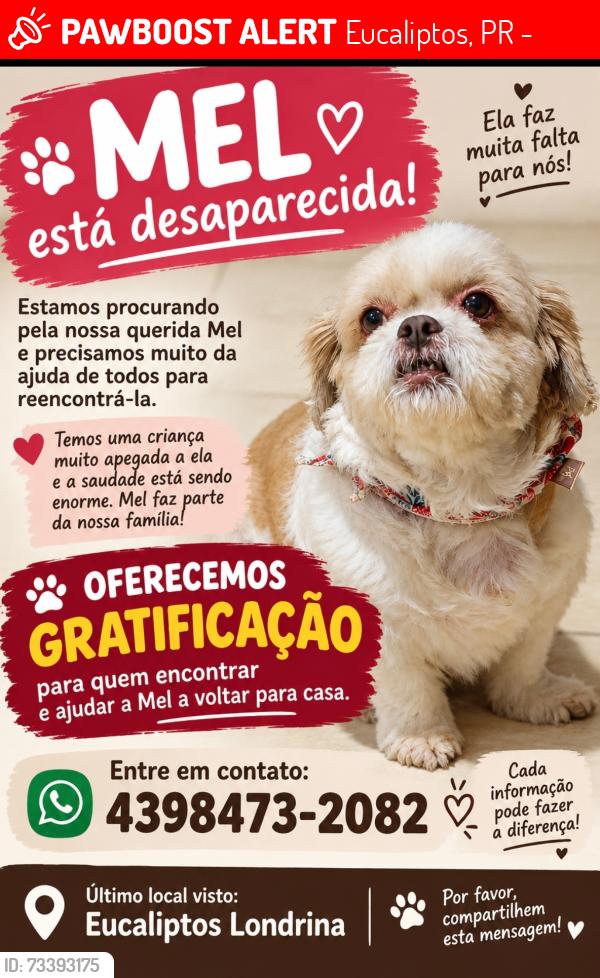 Lost Female Dog last seen Antônio Martins Fernandes 33, Eucaliptos, PR 86031-670