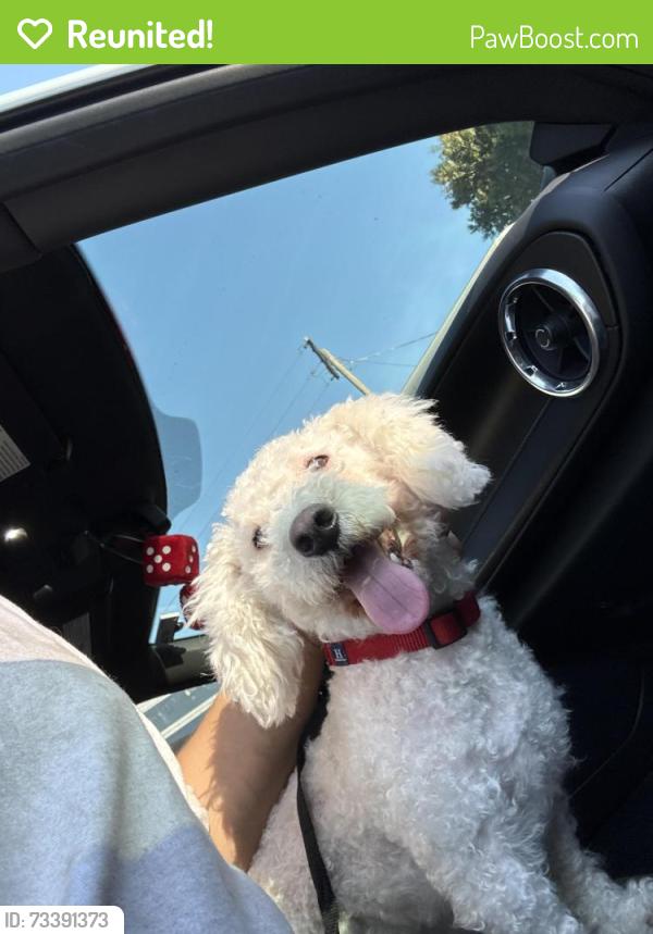 Reunited Male Dog last seen Tennyson, Hayward, CA 94544