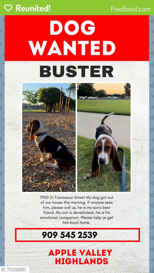 Reunited Male Dog last seen Near Di Francesco St, Apple Valley, CA 92308