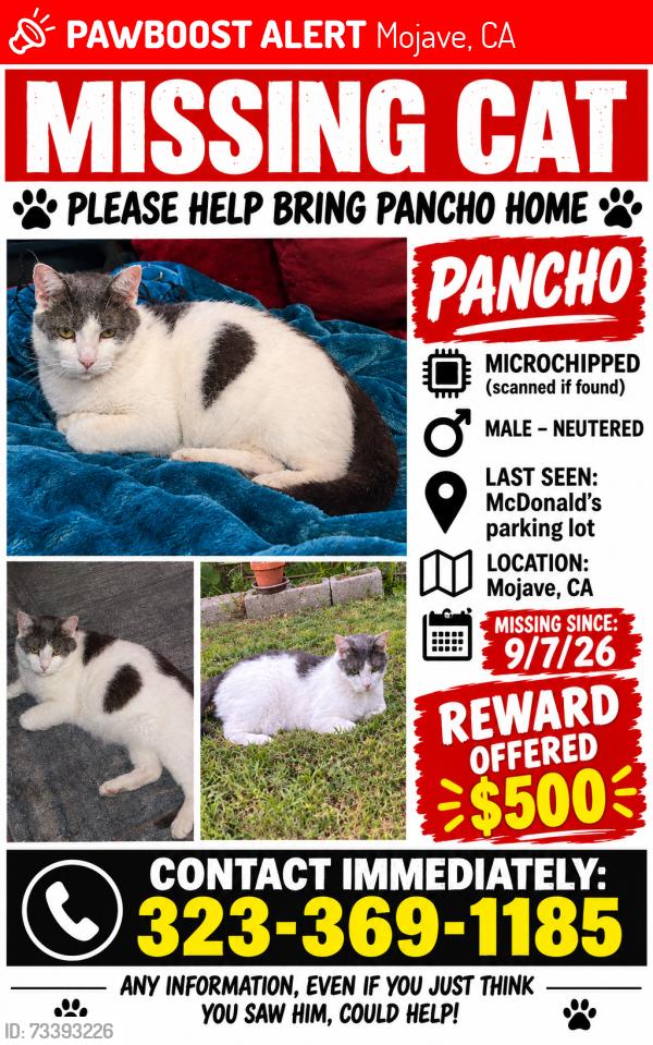 Lost Male Cat last seen McDonald’s Drive Thru, Mojave, CA 93501