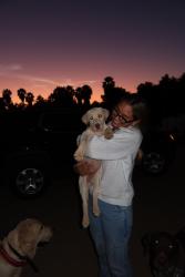 Reunited Male Dog last seen Limonite & Fespar, Riverside, CA 92509
