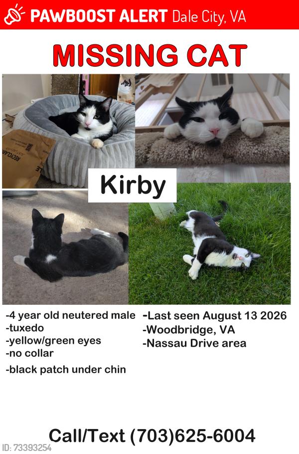 Lost Male Cat last seen Nassau Drive, Woodbridge, Dale City, VA 22193