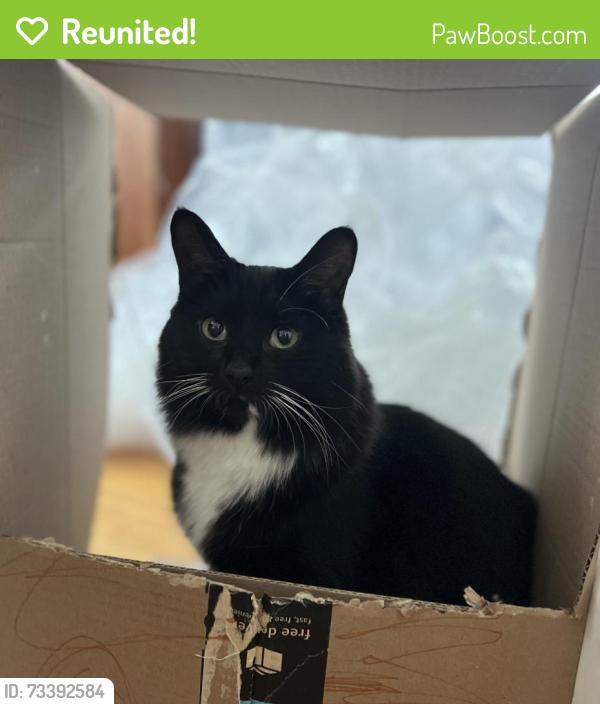 Reunited Female Cat last seen Corner of Dedham St and Mountain Ave, Revere, MA 02151