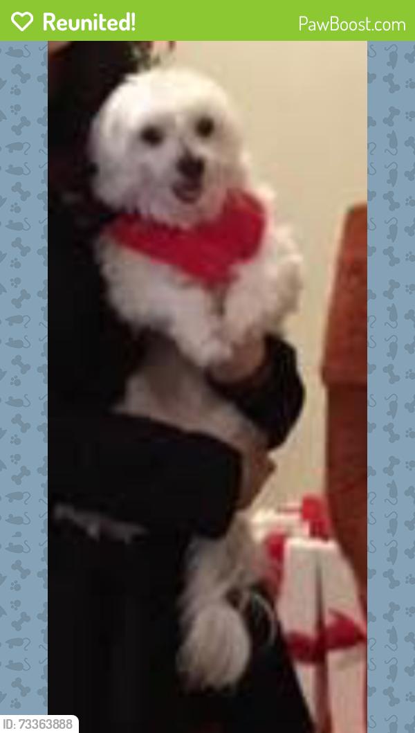 Reunited Female Dog last seen Queens park ct, Fremont, CA 94538