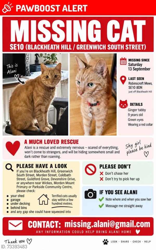 Lost Female Cat last seen Lewisham Road / Blackheath Hill, Greater London, England 