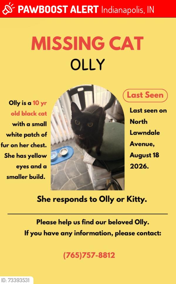 Lost Female Cat last seen 38th street and highschool road, Indianapolis, IN 46224