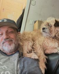 Reunited Female Dog last seen Near Edison Ave, The Bronx, NY 10465