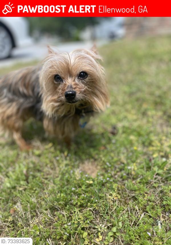 Lost Female Dog last seen Bouldercrests, Ellenwood, GA 30294