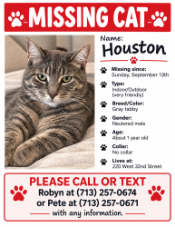 Lost Male Cat last seen Yale and w 32nd, Houston, TX 77018
