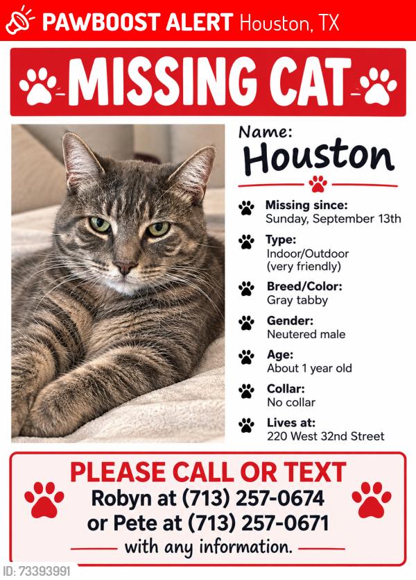 Lost Male Cat last seen Yale and w 32nd, Houston, TX 77018