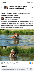 Lost Male Dog last seen 104/ hwy 365, White Hall, AR 71602
