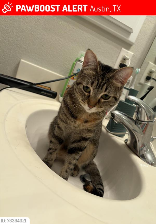 Lost Female Cat last seen Brimfield Dr, Canyon Creek 78726, Austin, TX 78726