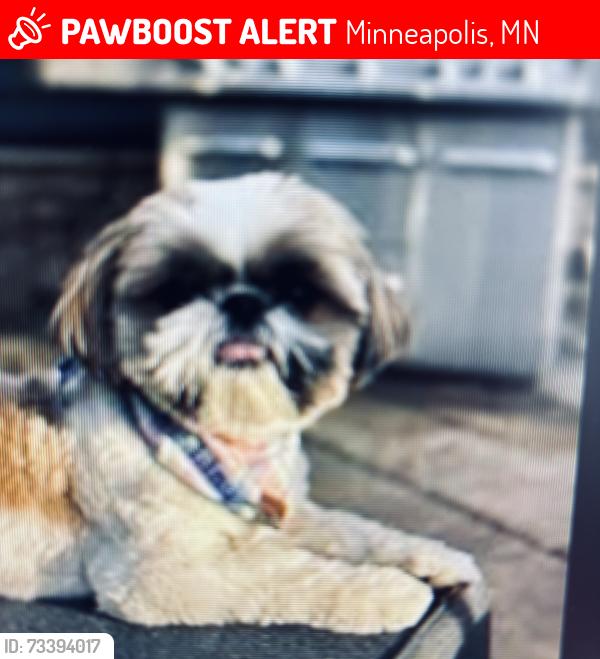 Lost Female Dog last seen Xerxes Ave S, Minneapolis, MN 55431