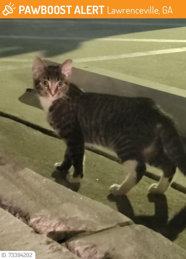 Found/Stray Unknown Cat last seen Three Dollar Cafe near the ball field, Lawrenceville, GA 30043