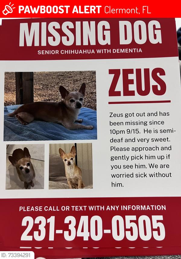 Lost Male Dog last seen 12th street, Clermont, FL 34711