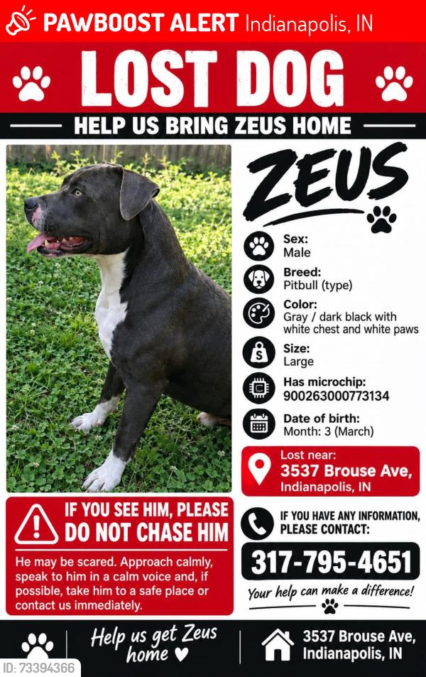Lost Male Dog last seen 34th st, Indianapolis, IN 46218