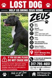 Lost Male Dog last seen 34th st, Indianapolis, IN 46218