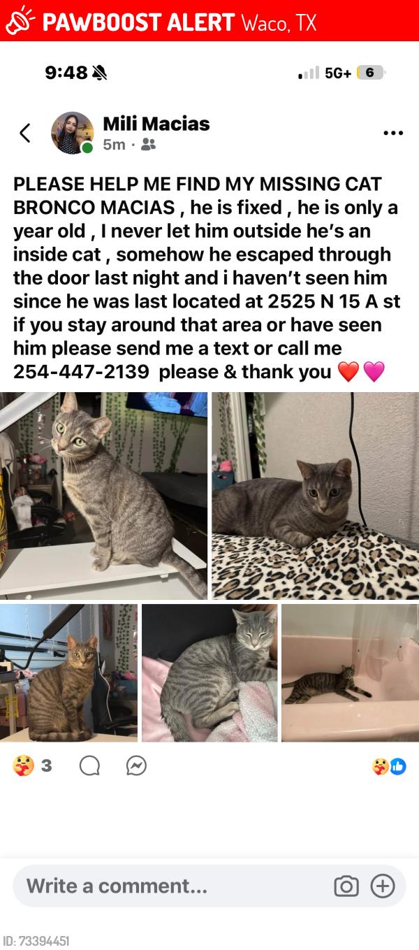 Lost Male Cat last seen near north waco area, Waco, TX 76708