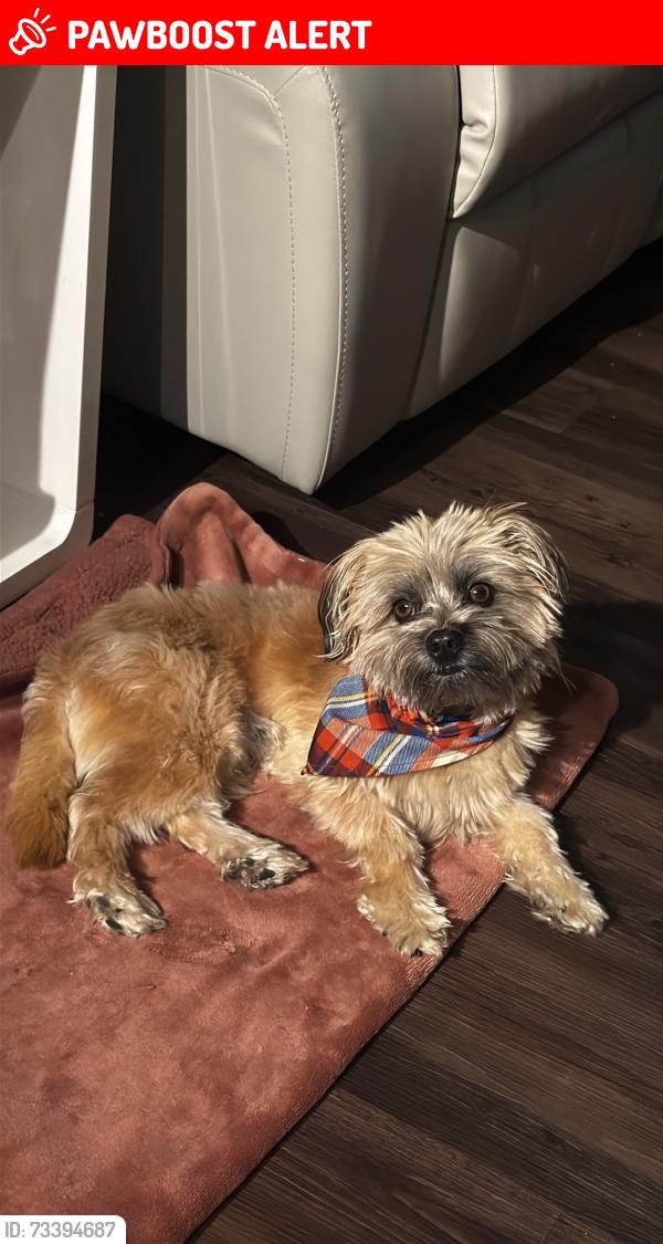 Lost Male Dog last seen Vallarta by Vineyard, Rancho Cucamonga, CA 91730